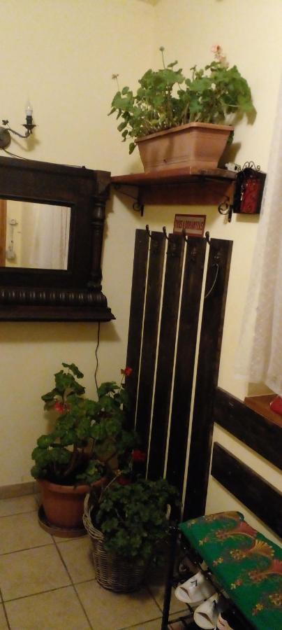 Dutch Farm In Felsolajos Apartment Exterior photo